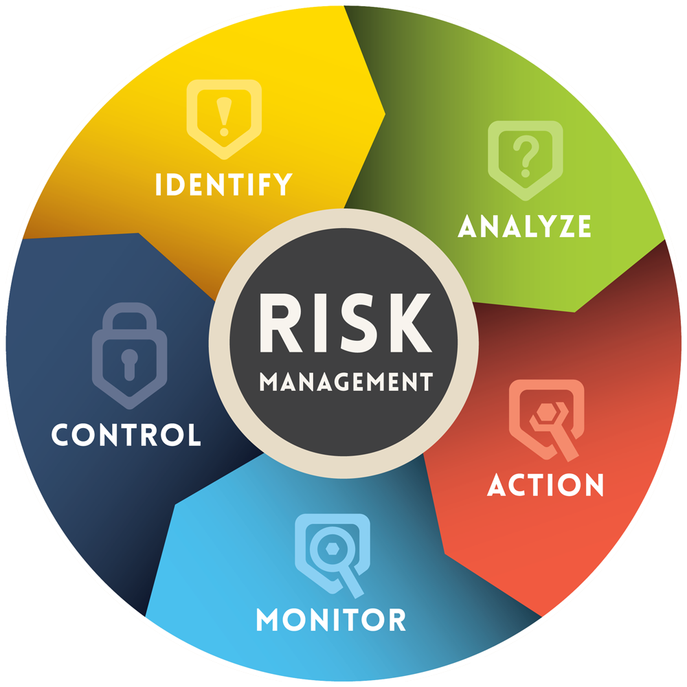 Risk Managment Infographic